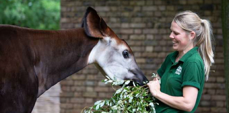 London Zoo